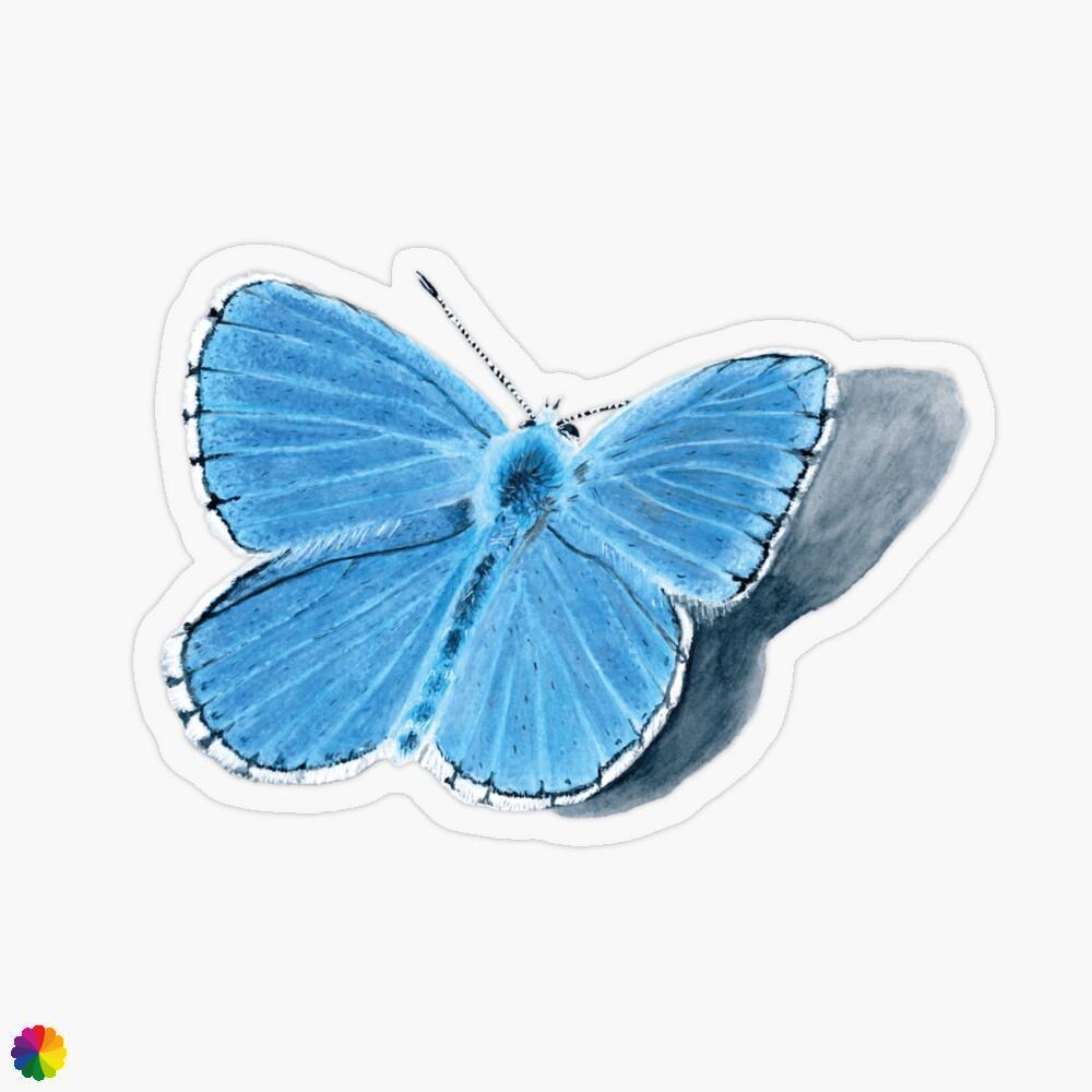 Transparant sticker blue butterfly