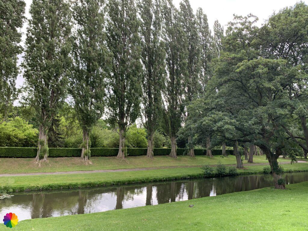 Hoge bomen langs Begraafplaats Crooswijk