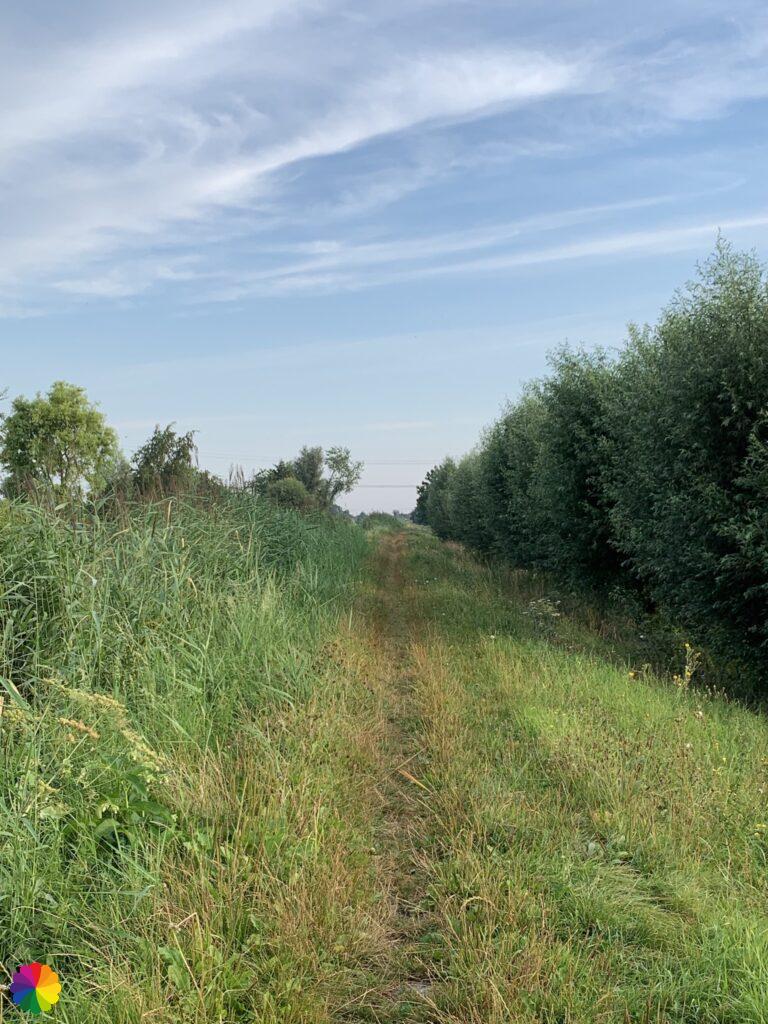 Grassy path along Lange Weidsche Boezem