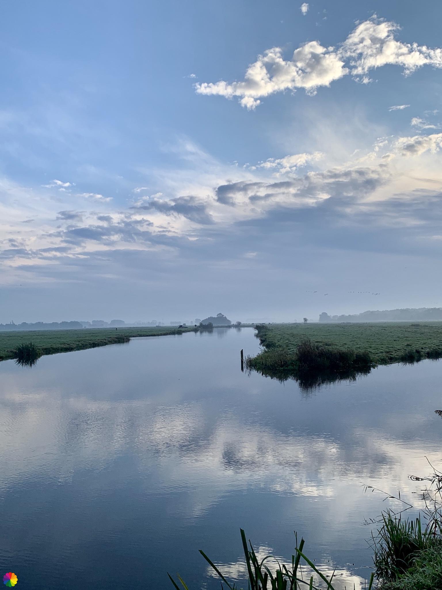 De Berkenwoudse Boezem polder