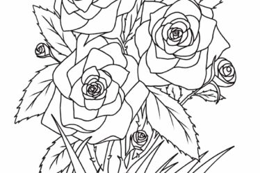 Roses tattoo design
