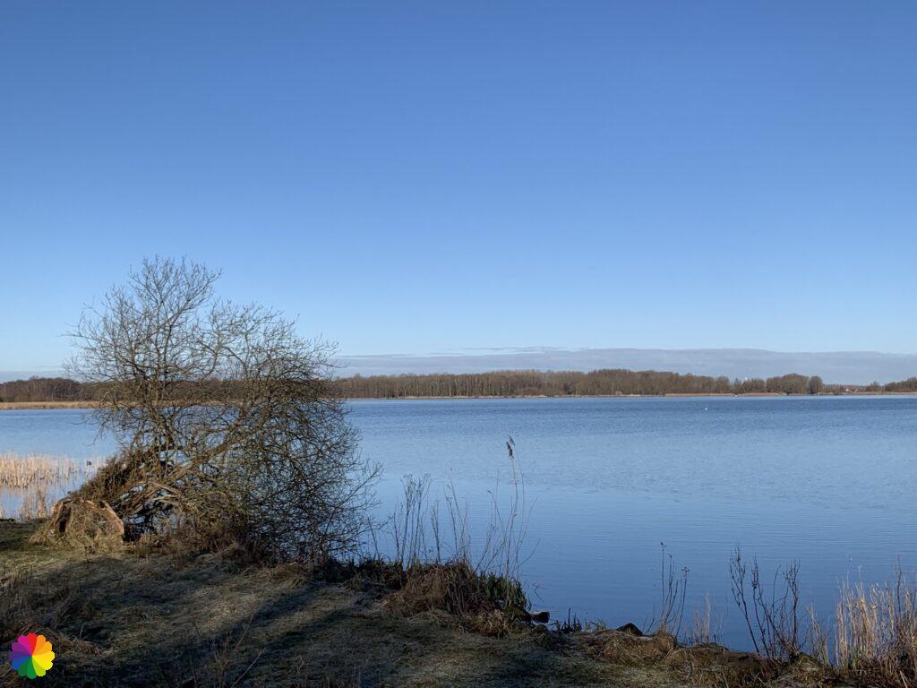View at the Stootersplas in the Twiske nature reserve
