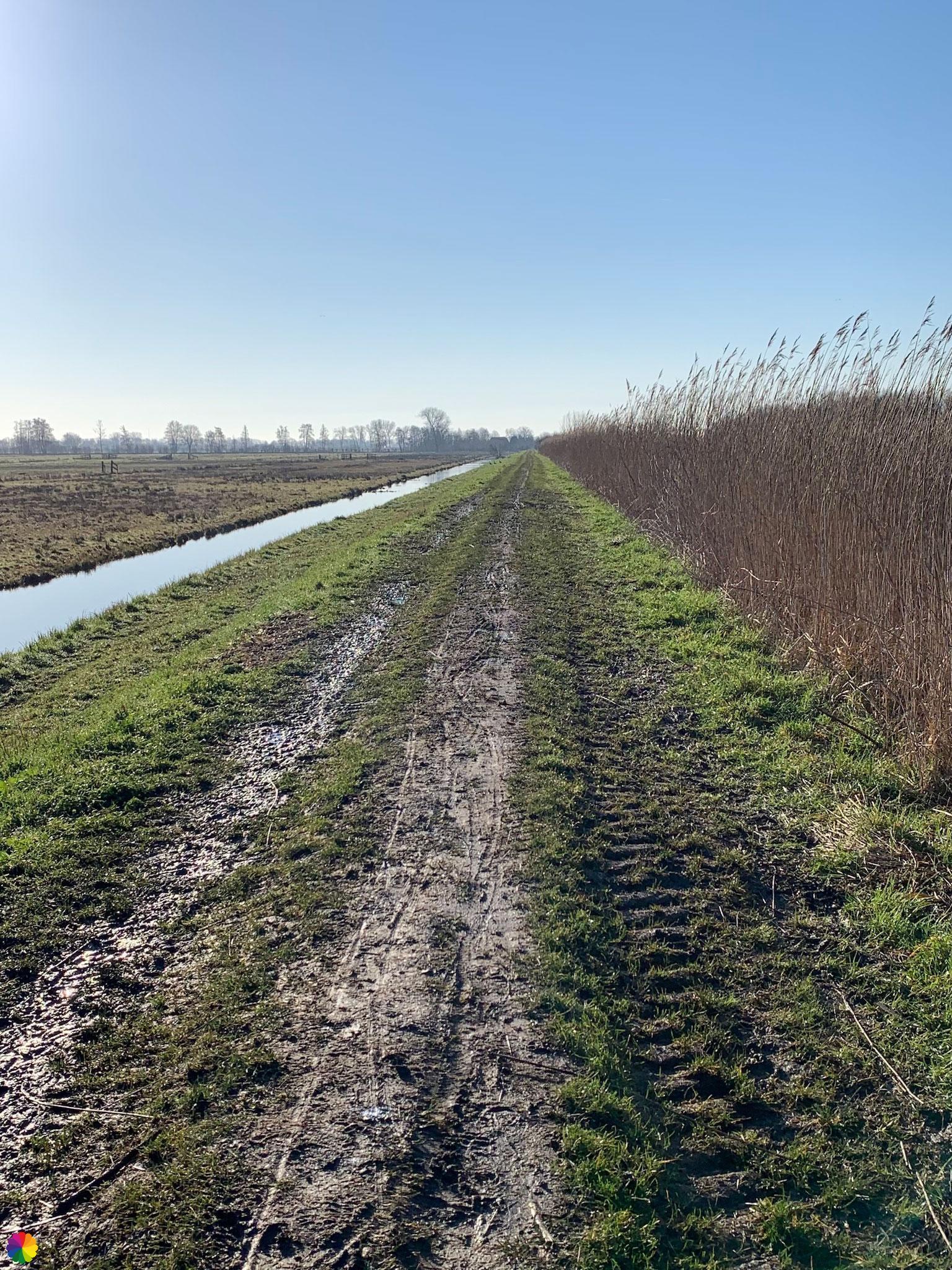 Muddy path at the Zouweboezem