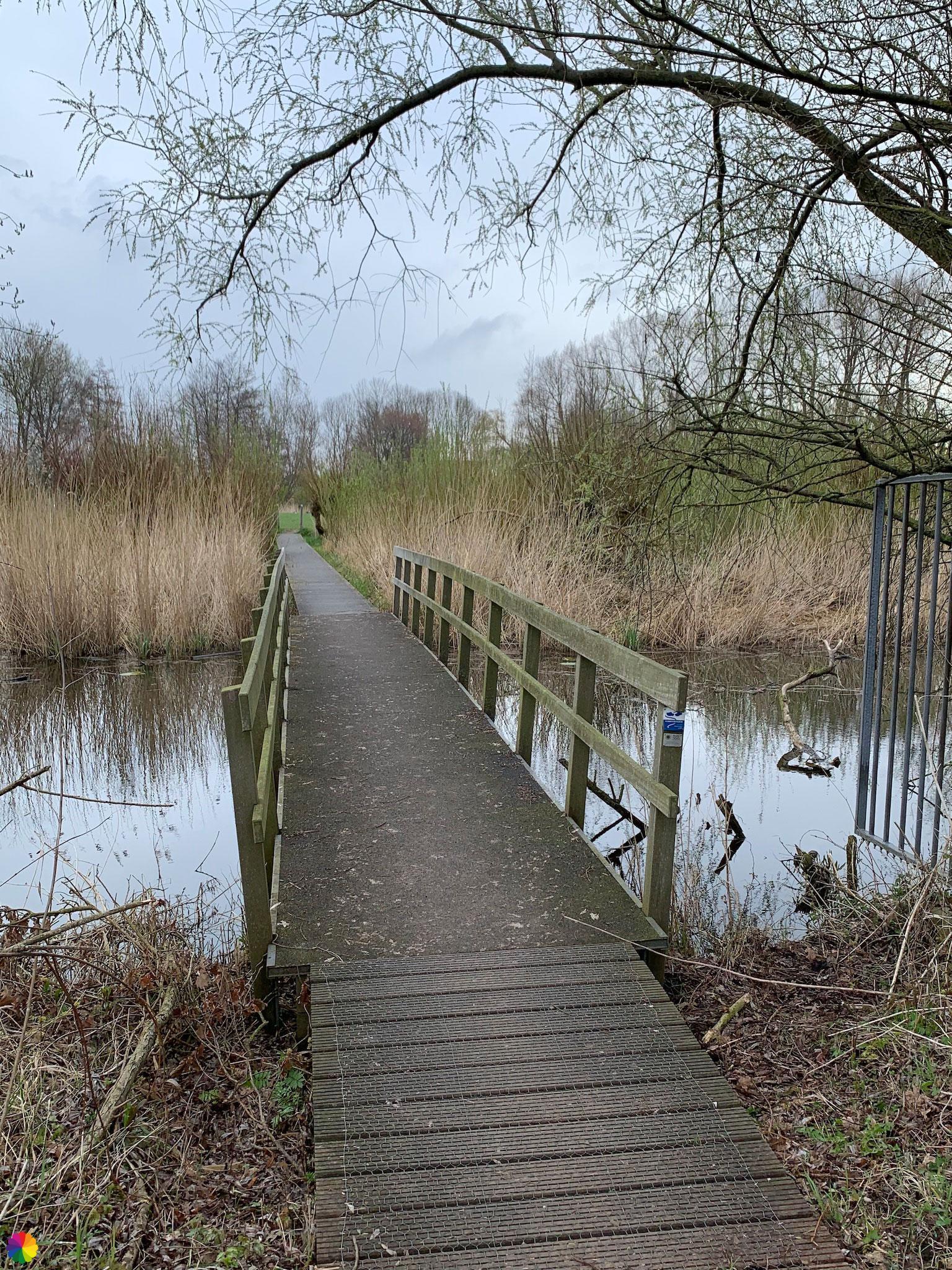 Small bridge in nature reserve close to Rhenoy