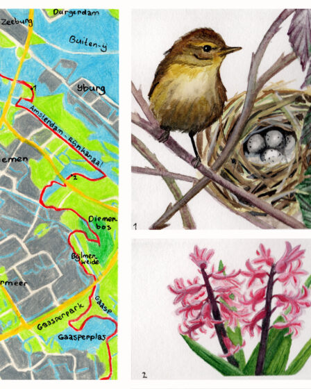 Hiking map Migration birds trail Zeeburg - Gaasperzoom park Amsterdam