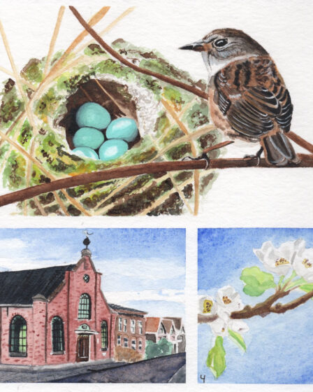 Illustrations dunnock, small church en blossoms