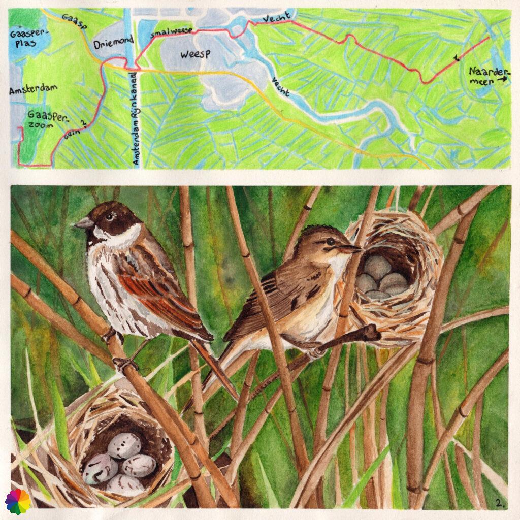 Hiking map Migration birds trail Gaasperzoom - Naardermeer