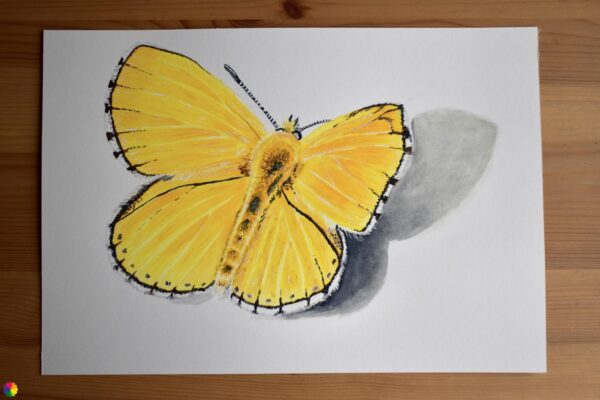 Originele illustratie gele vlinder