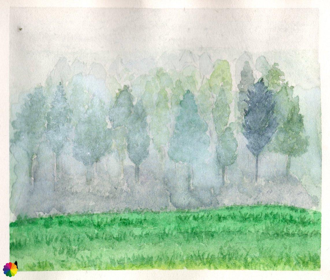 Illustration foggy tree plantation