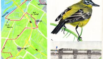 Wandelkaartje Zuiderwaterliniepad: Dinteloord - Willemstad