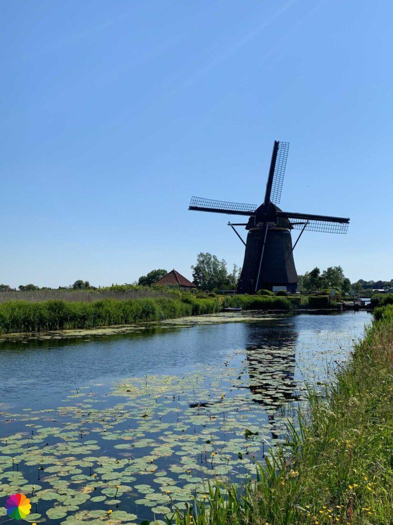 Rietveld windmill