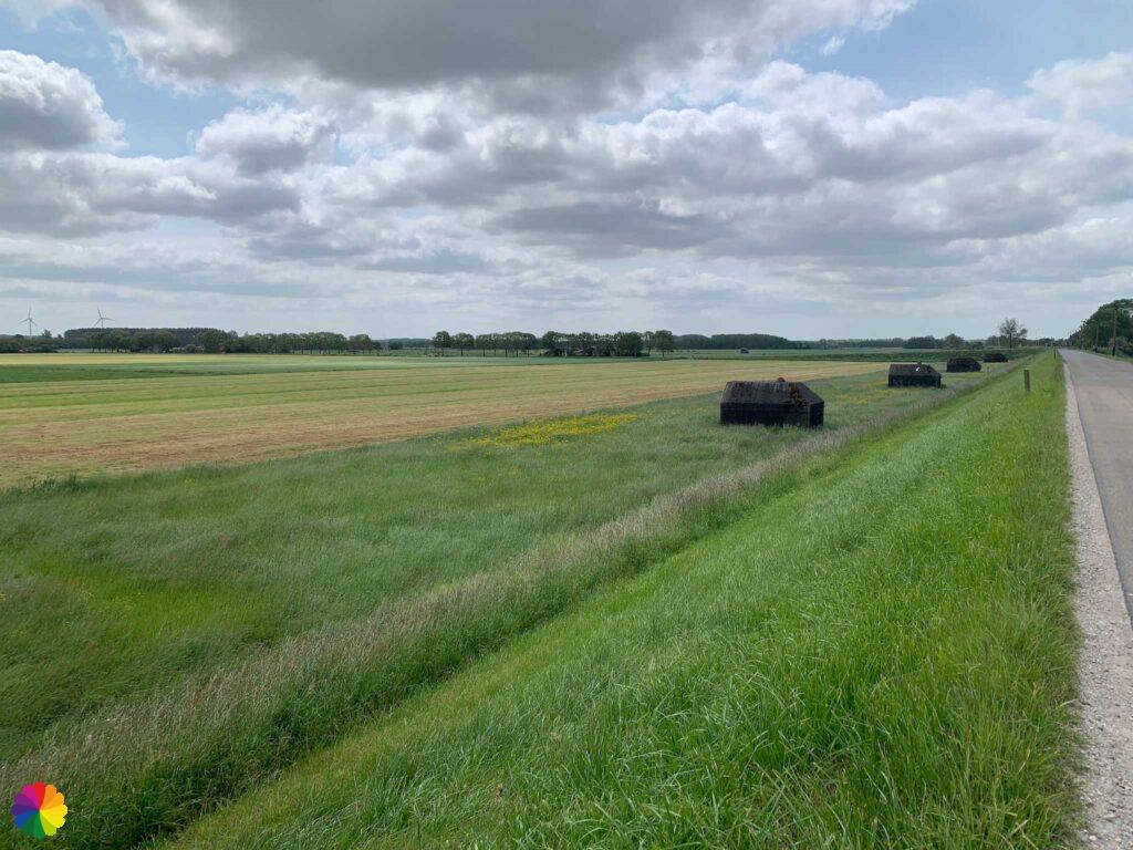 Bunkers Diefdijk