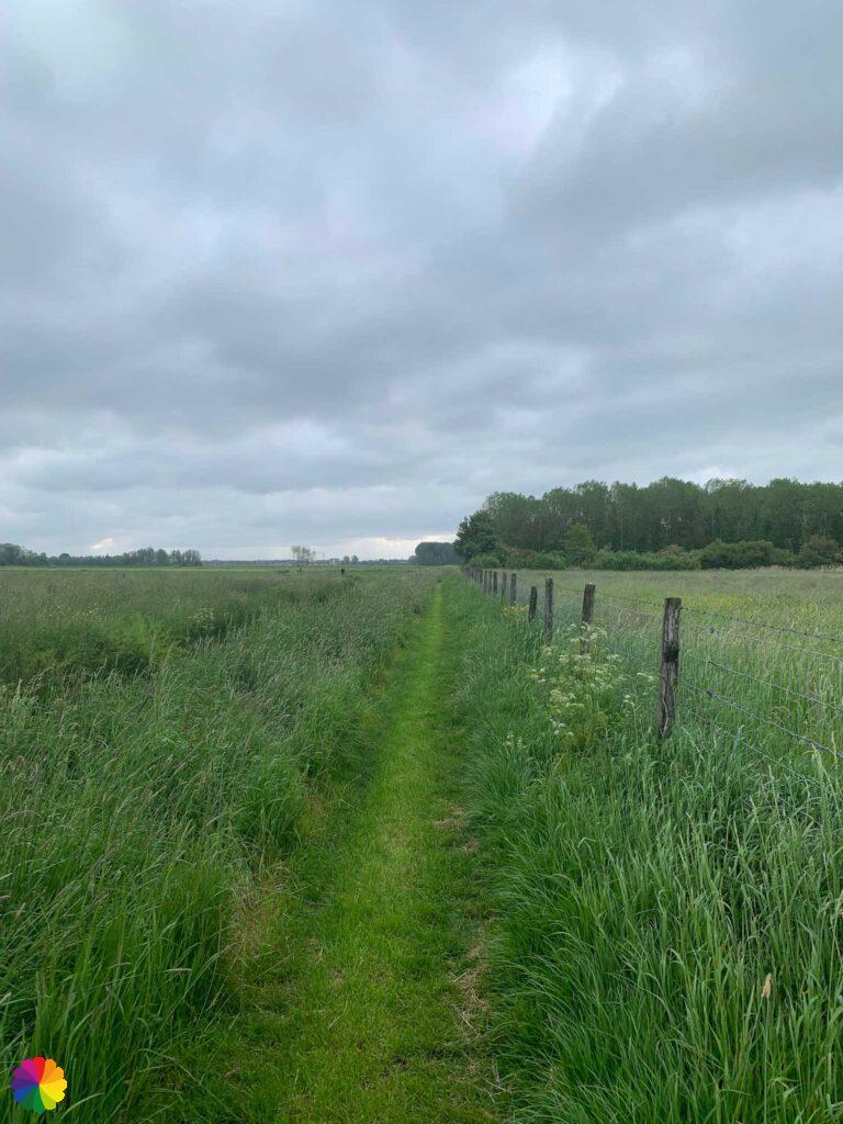 Graspad in polder Culemborg