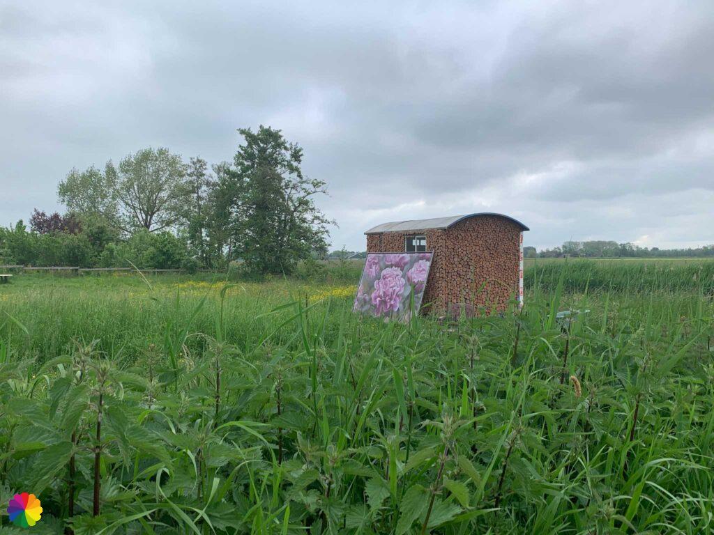 Mooi kunstwerk aan de Diefdijk