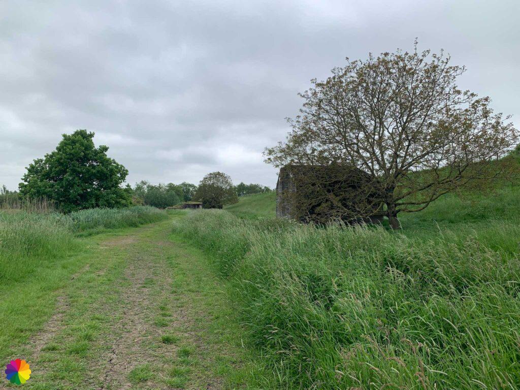 Natuurgebied Molenkade