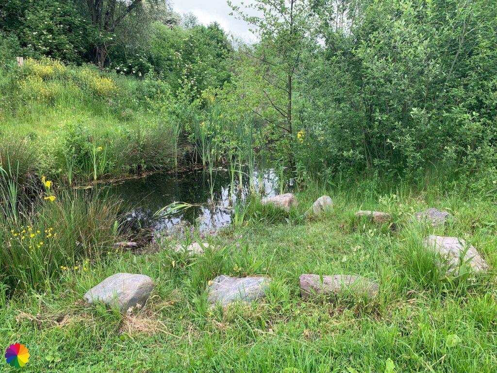 Natuurgebied Zandput