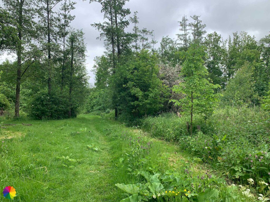 Natuurgebied Zandput