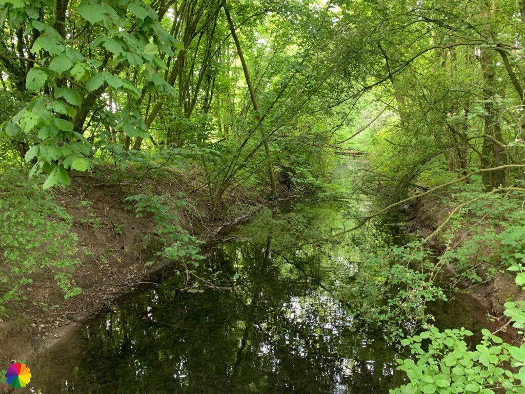Natuurgebied Zandput