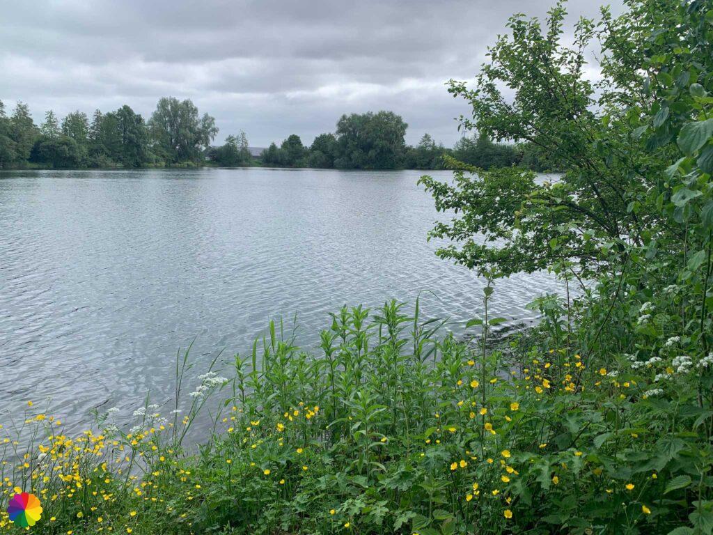 Natuurgebied Zandput