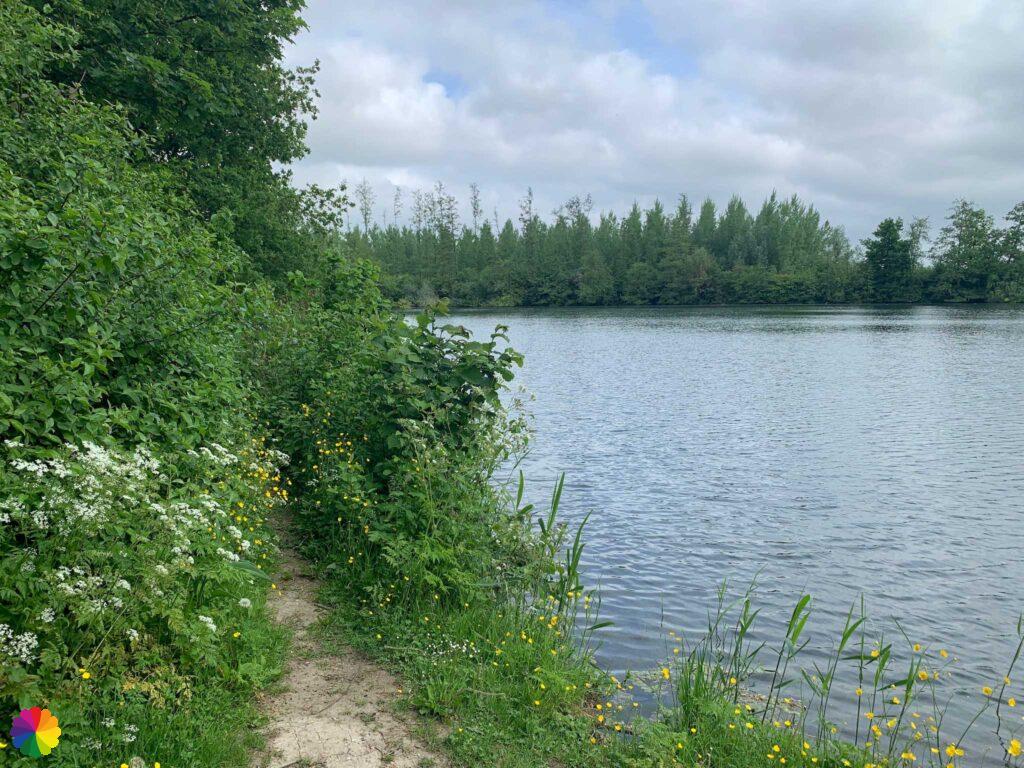 Natuurgebied Zandput