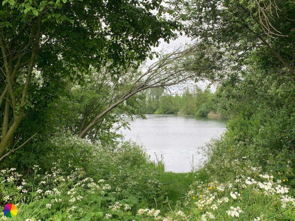 Natuurgebied Zandput
