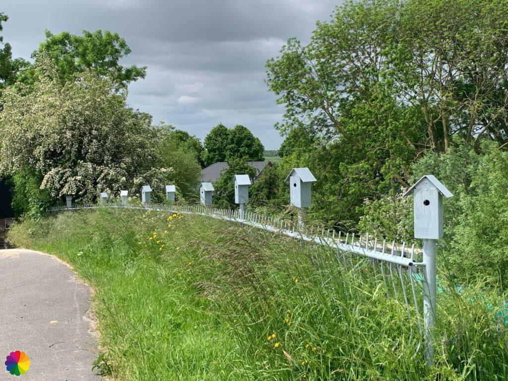 Vogelhuisjes Diefdijk