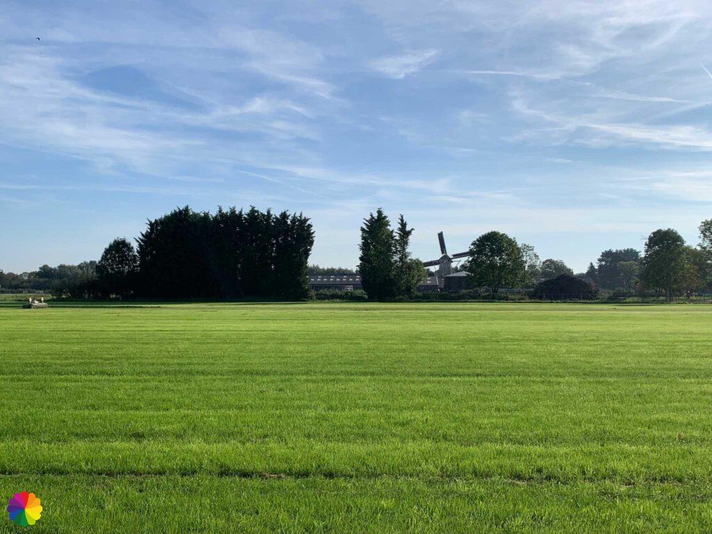Molen bij Rossum