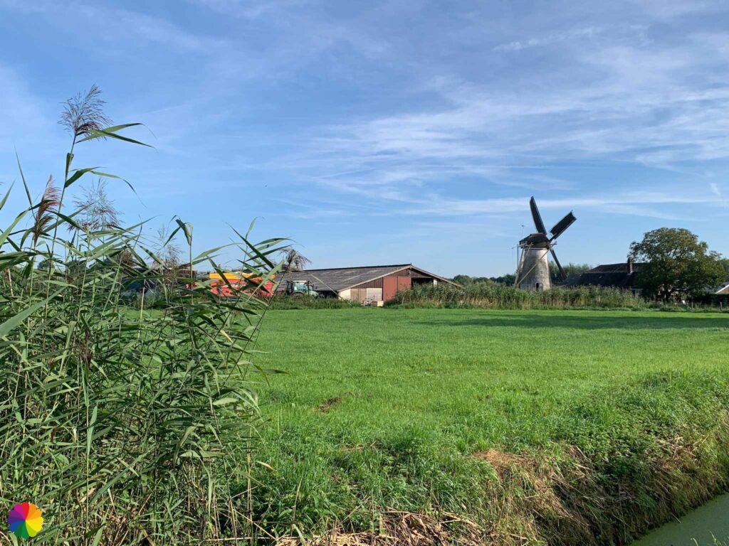 Molen bij Rossum
