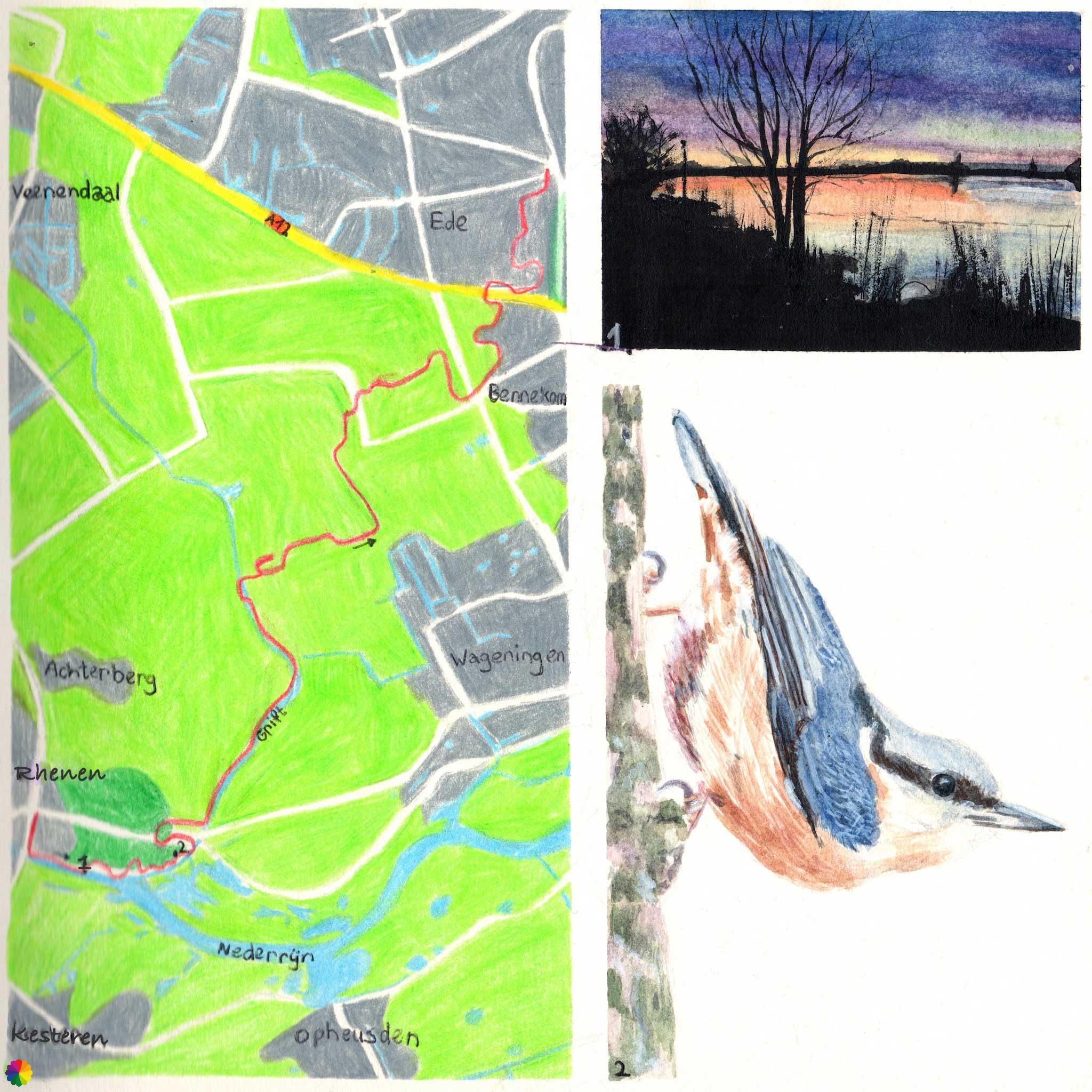 Wandelkaartje Trekvogelpad: Rhenen - Ede