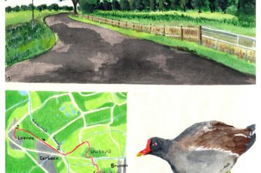 Wandelkaartje Trekvogelpad: Loenen - Brummen